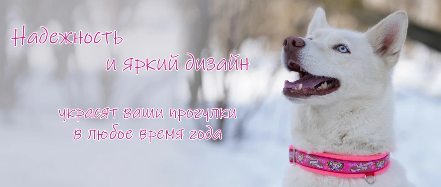 Надежность и яркий дизайн - украсят ваши прогулки в любое время года